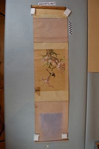 Image description is not available for DU1971.467